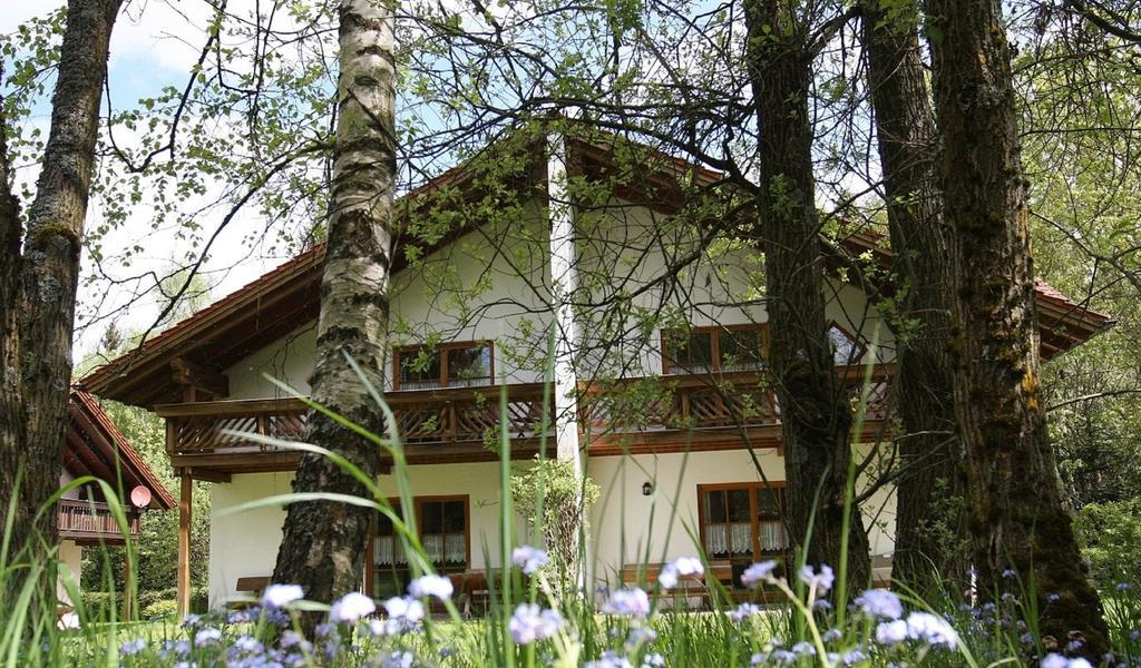 Ferienhaeuser "In Der Waldperle" Бішофсмайс Екстер'єр фото